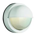 Trans Globe One Light Rust Frosted Round Sunburst Ribbing Glass Marine Light 4121 RT